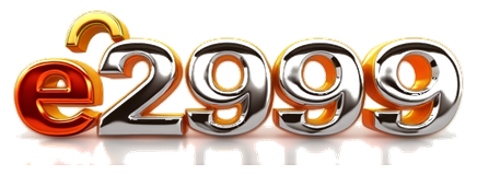 e2999